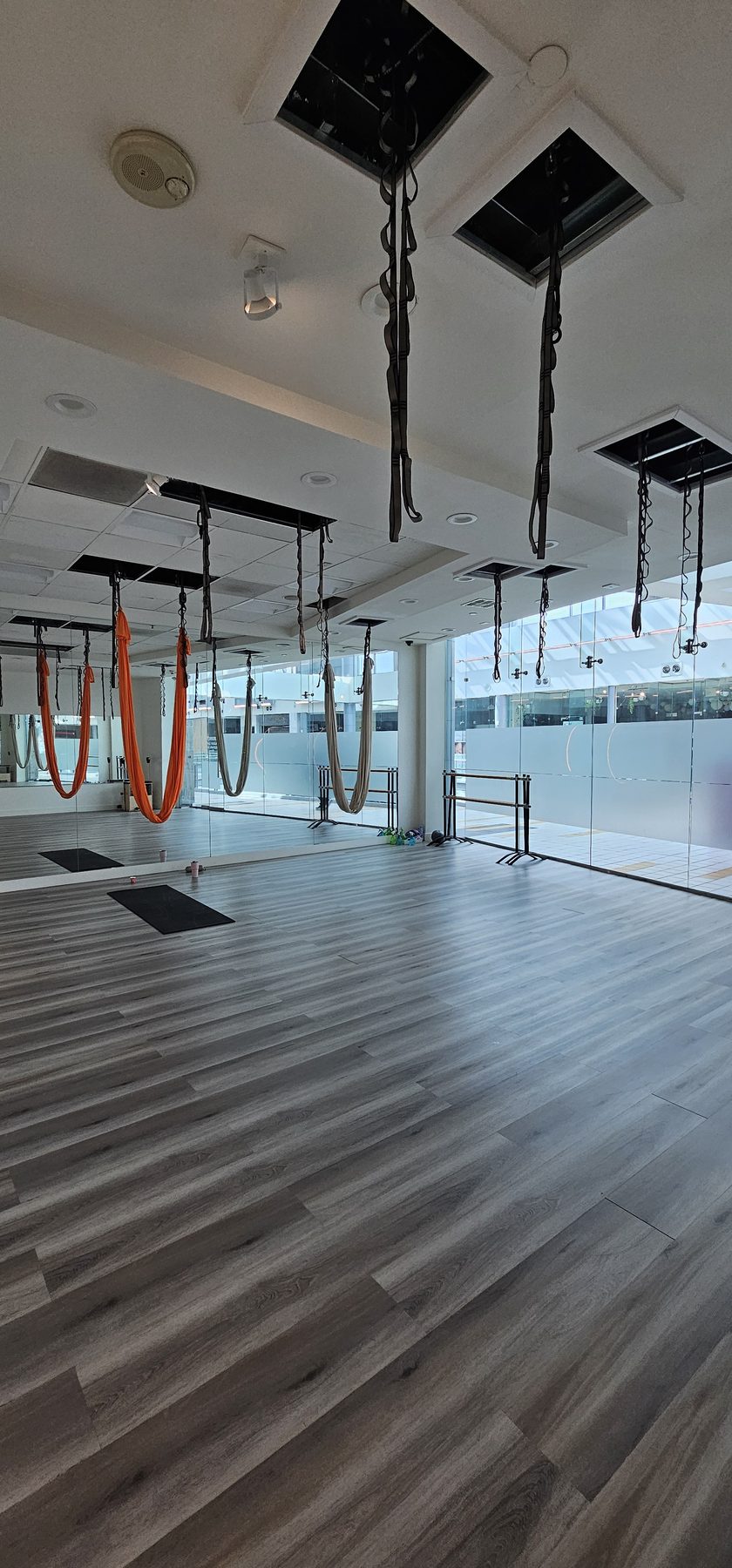 Aerial yoga studio with silks